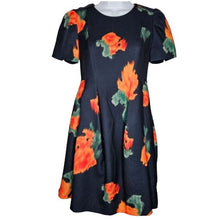 Load image into Gallery viewer, Anthropologie McGinn Poppy Palette Fit Flare Floral Cocktail Dress Petite 2 NWT

